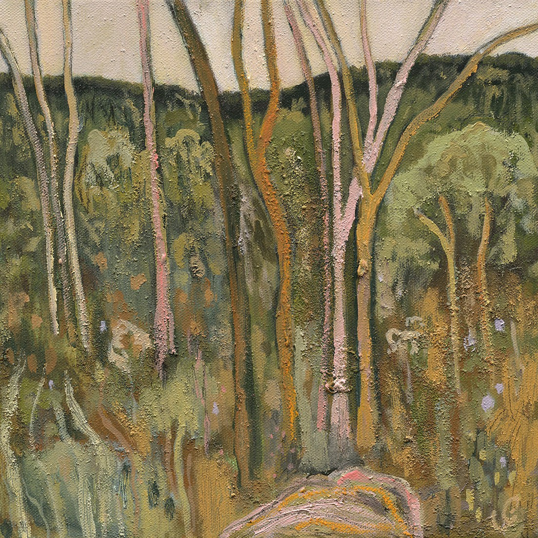 warmth (ii)