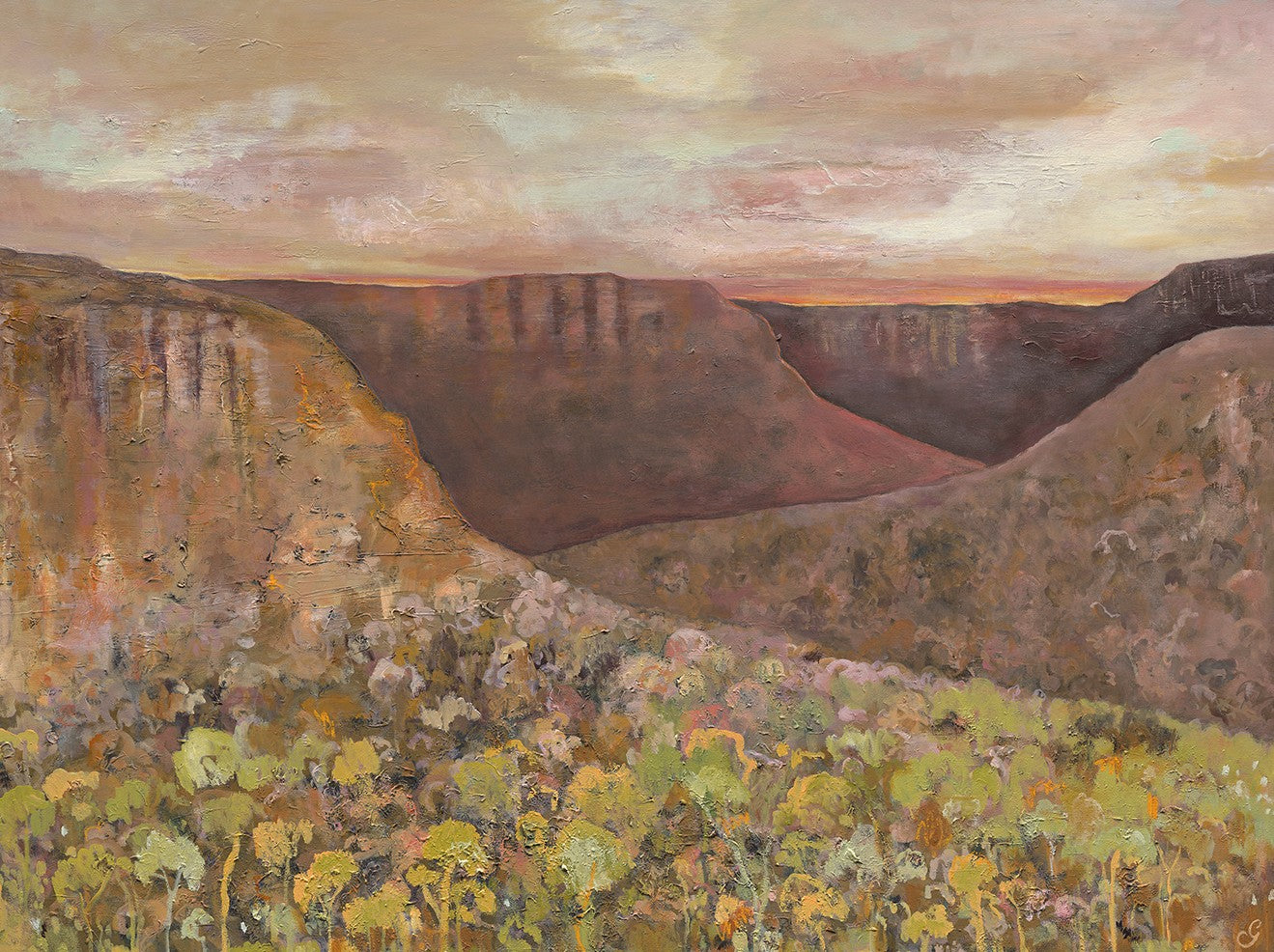 valley of the pinks